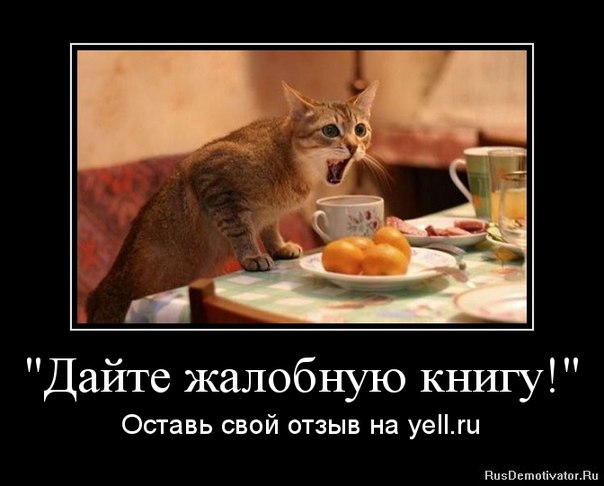 Занимательный маркетинг
