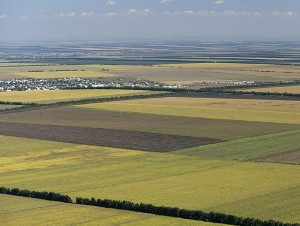 Изменены размеры выкупа земель в Вологодской области