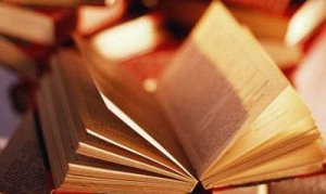 «Моногород: управление развитием